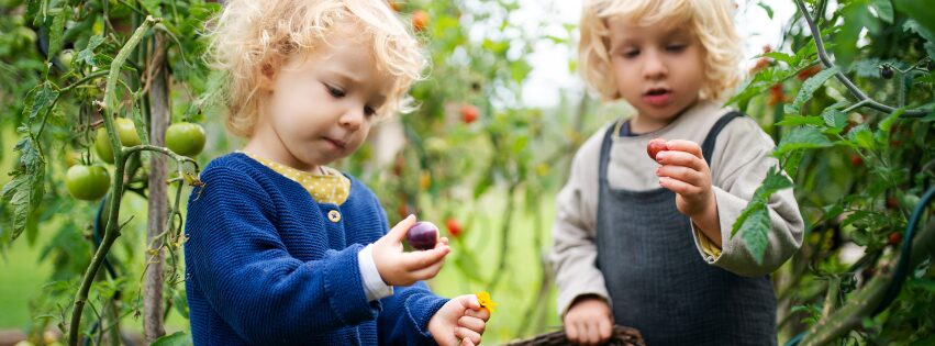8 Ways to Teach Children About Where Their Food Comes From